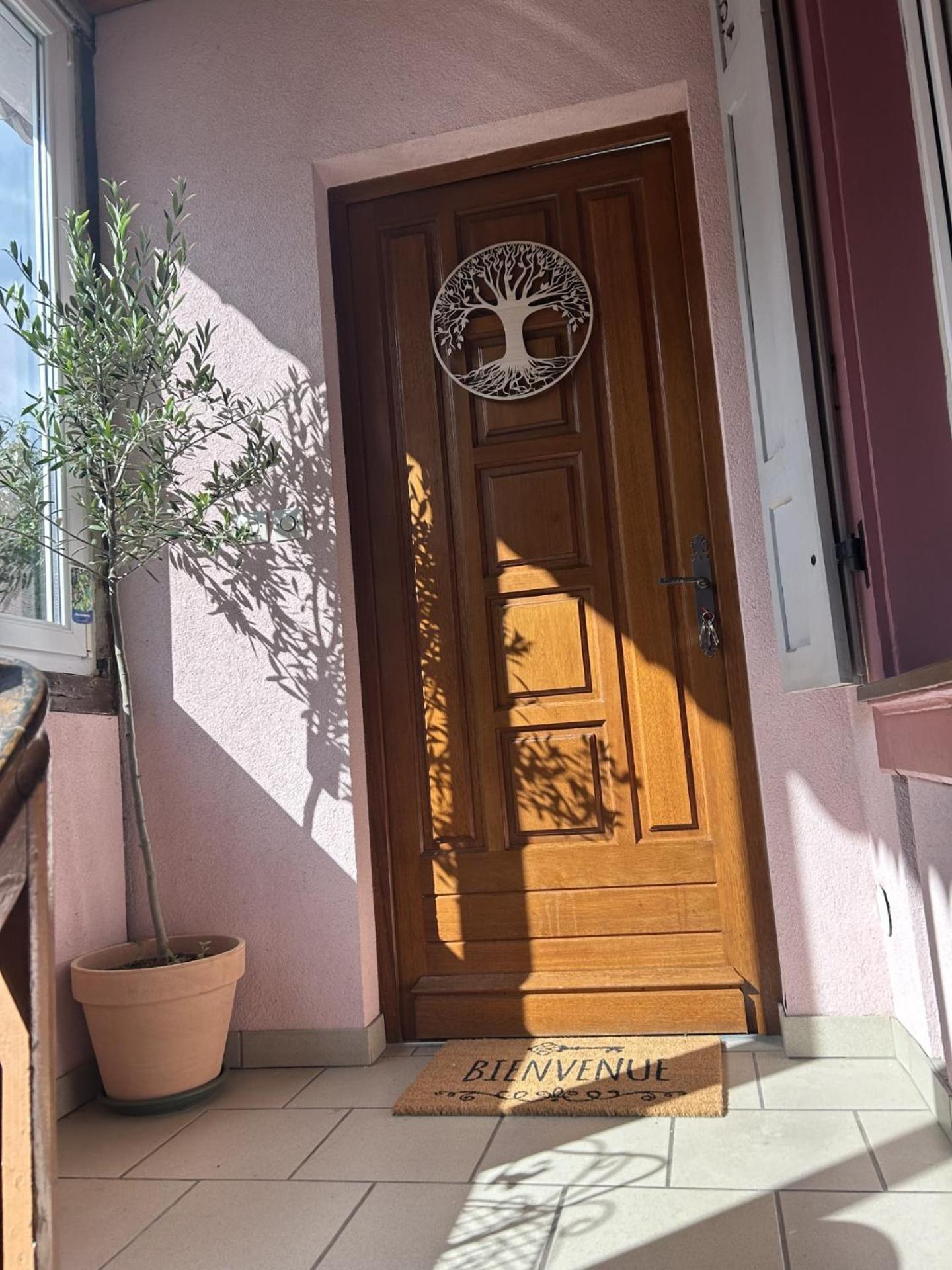 Le Petit Coin Des Oliviers Apartment Colmar Exterior foto
